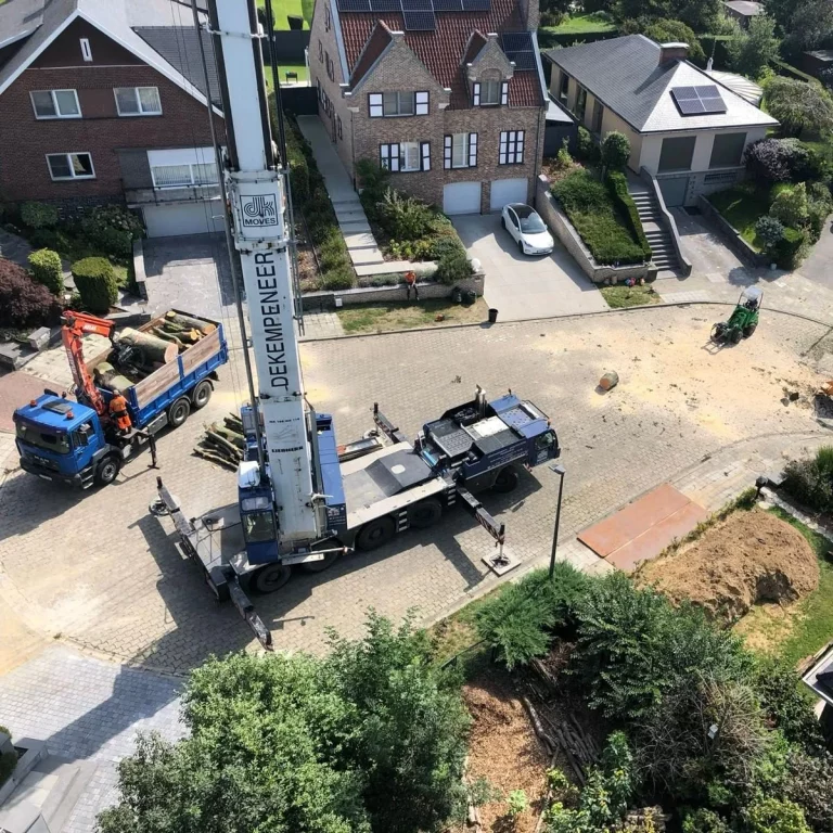 Chantier d&rsquo;élagage difficile en hauteur à Annecy