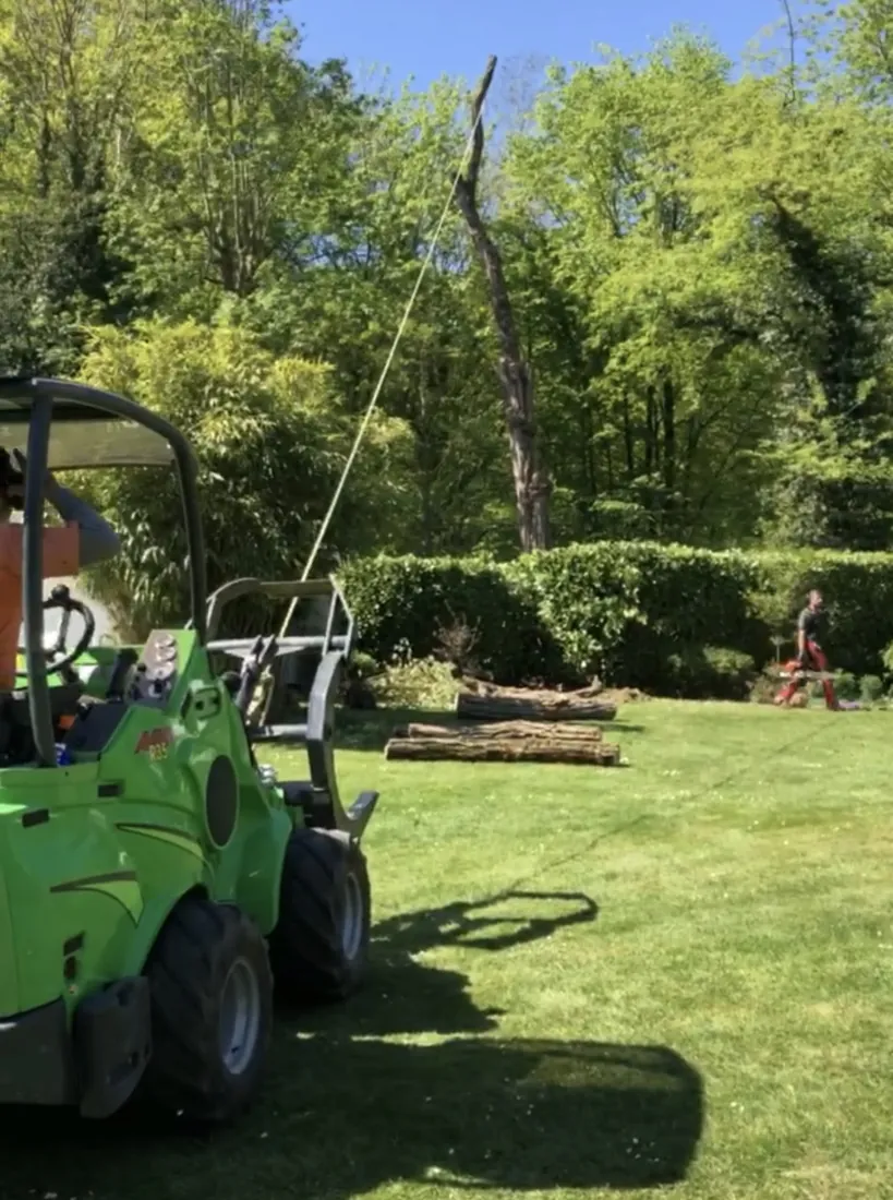 Abattage par traction au treuil, avec un homme au sol